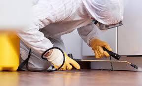 Reliable Feasterville, PA Pest control Solutions